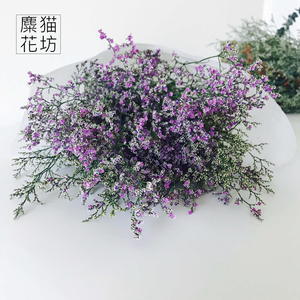 干花花束风干情人草图片