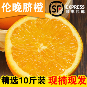 秭归伦晚脐橙手剥橙甜橙子新鲜水果包邮10斤批发非赣南脐橙冰糖橙新鲜橙子