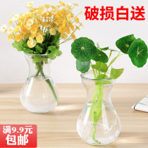 水培绿萝花瓶简约创意玻璃水培植物容器插花瓶透明风信子花瓶花盆