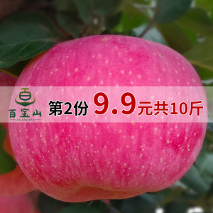 山东特产烟台苹果新鲜红富士第二份9.9元共10斤包邮脆甜水果现货红富士新鲜水果
