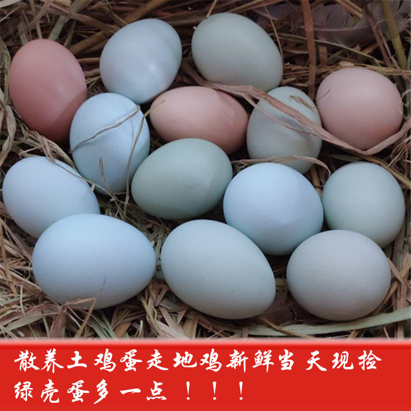 初生蛋农家散养土鸡蛋新鲜虫草鸡蛋月子蛋宝宝辅食绿壳蛋30个包邮