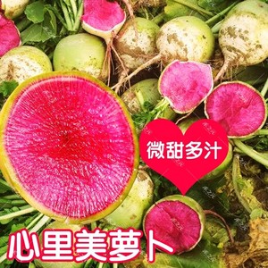 当季时令蔬菜 问题七：季节性的蔬菜和水果各有哪些？