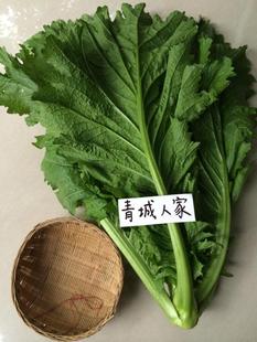 四川青城蔬菜芥菜农家青菜鸡心芥雪菜泡酸菜盐菜全店满5斤包邮