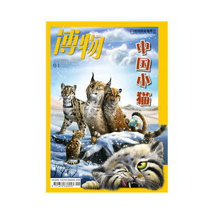 【201801】 中国小猫 博物杂志 2018年1月/1期 正版期刊 杂志社直营