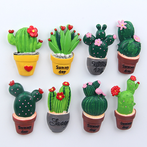 cactus仙人掌花盆图片