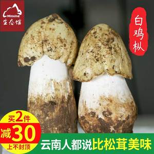 class=h>新鲜 /span> span class=h>鸡枞 /span>菌 黑鸡棕鲜鸡纵蘑菇