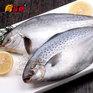 【肴易食】阿根廷进口 雪花鲳 鲳鱼2条装700g 野生鲳鱼 海鲜