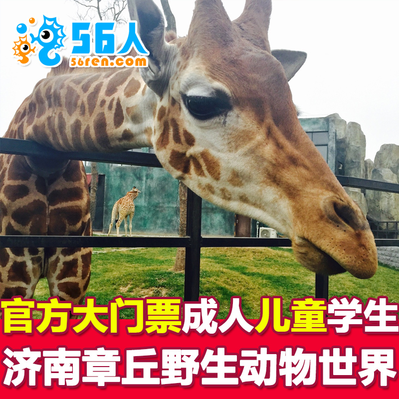 【官方出票】济南野生动物园门票章丘野生动物世界济南动物园门票