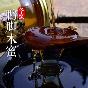 新鲜鸭脚木蜜 鹅掌柴蜜 冬蜜 天然蜂蜜农家自产纯蜜