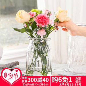 现代简约玻璃花瓶客厅透明插花装饰花瓶创意摆