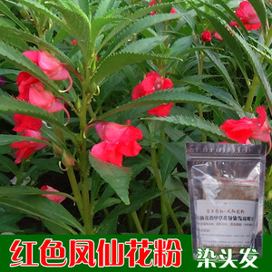 天然凤仙 span class=h>花粉 /span>染头发剂纯指甲草植物染发正品
