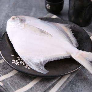  span class=h>海天 /span>下 东海野生白鳞大鲳鱼平鱼鳊鱼大白鲳410g