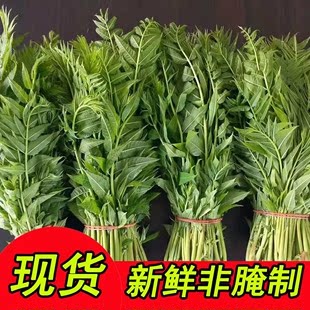 幹香椿芽湖北襄陽土特產農家自制頭茬曬乾的野生嫩香椿菜乾貨500g