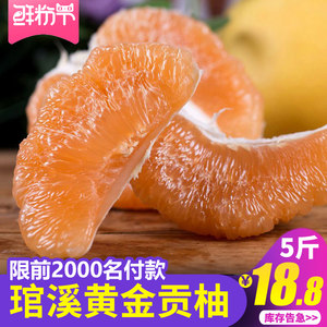 【黄金柚子价格】最新黄金柚子价格\/批发报价