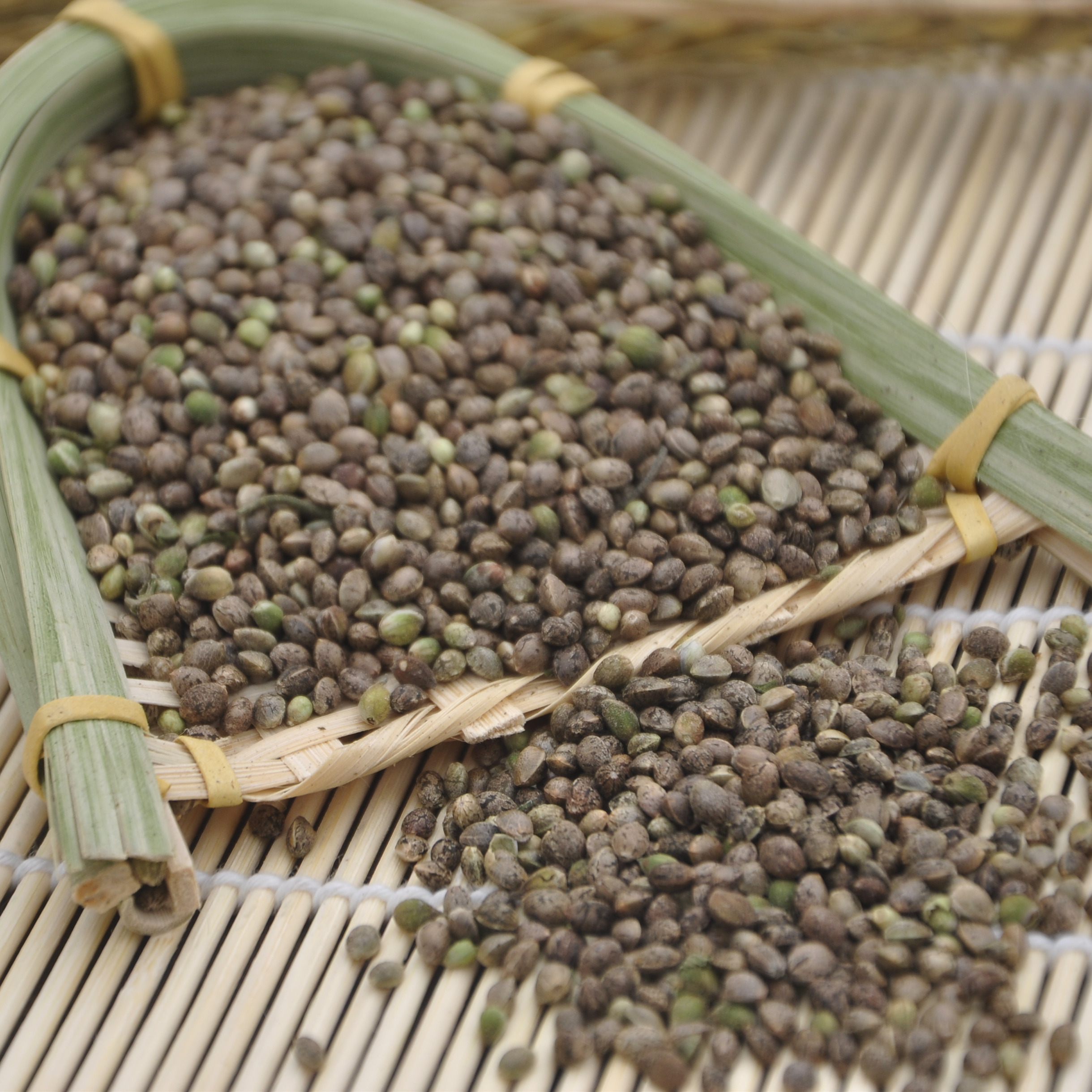 广西巴马火麻籽 火麻子火麻仁 火麻子 买3送1 半价促销包邮500g