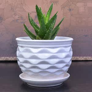 陶瓷花盆单个特大号卡通欧式创意办公室内带托盘个性欧式多肉花盆