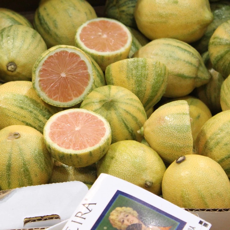 美国进口sunkist粉色柠檬10个装 1.6斤 斑马纹 新鲜水果