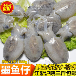 【连云港海鲜图片】连云港海鲜图片大全