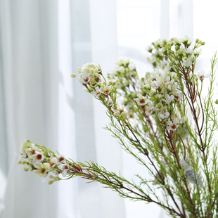 新品高仿真澳洲腊梅干花淘金彩梅婚礼装饰花蜡花花艺配材小清新