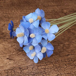 紫罗兰蝴蝶花干花专场