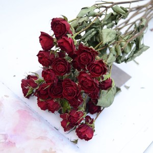 干花玫瑰花束风干图片
