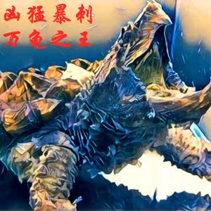 【真鳄龟图片】真鳄龟图片大全