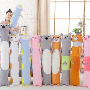 【动漫长抱枕睡觉图片】动漫长抱枕睡觉图片大全