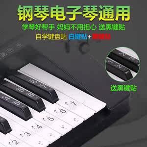 透明88键61键黑键贴电子琴钢琴贴纸琴键键盘