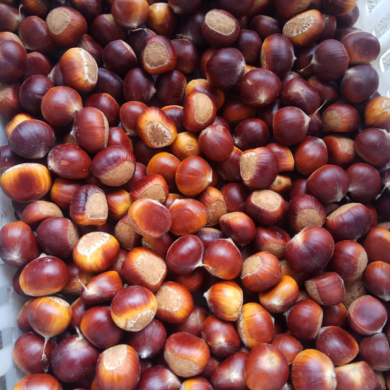 2折) 淘宝 1斤包邮 仁之冠风干西梅 特级西梅 500g 美国西梅 果脯蜜饯