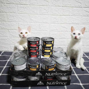 加拿大 nutrience 哈根纽翠斯主食猫罐头成猫鸡肉牛肉无谷 156g