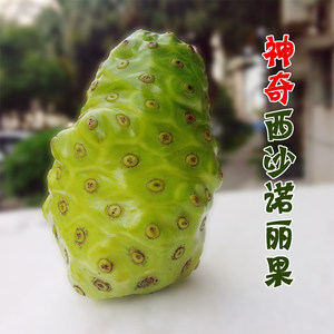 空运快3斤装 海南 span class=h>诺丽果 /span> 西沙诺尼果 呕吐果  