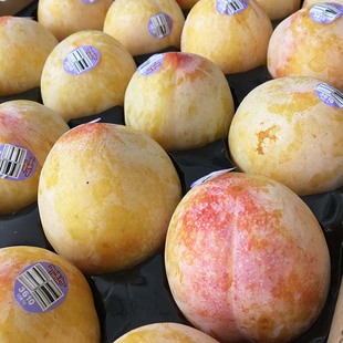 恐龙蛋水果3斤美国进口新鲜黄布林大李子超甜杏李孕妇水果顺丰