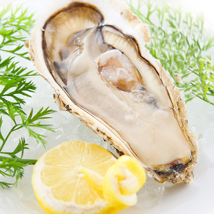 【刺身料理】法国鲜活进口吉拉多gillardeau生蚝 吉拉朵牡蛎28元