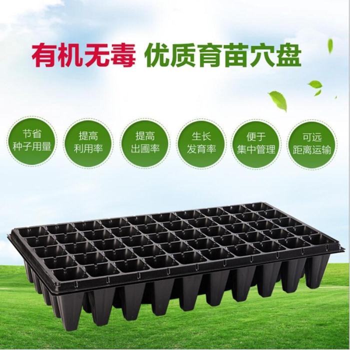 优质加厚多肉芽苗菜培育箱穴盘多肉种植育苗盒育苗盘塑料营养钵盆