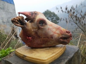 贵州放养黑山羊肉新鲜现杀黑山羊羊头带皮羊头生羊头3斤左右包邮