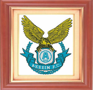 大连阿尔滨队徽十字绣中超俱乐部标志万达队标挂图帮画线无印花