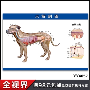 宠物店美容师工作服宠物学校医院专用工衣猫咪狗狗宠物围裙洗澡衣