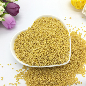 哆美丽 鸡蛋小米蛋黄拌小米蛋小米 营养鹦鹉鸟食鸟粮鸟饲料 200g