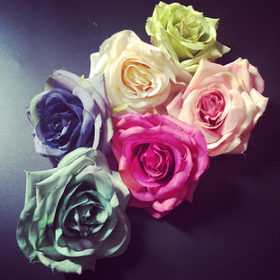 大月季 新波西米亚韩版沙滩度假发饰头花仿真花朵边夹森女系发卡