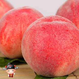 陕西大荔脆毛桃