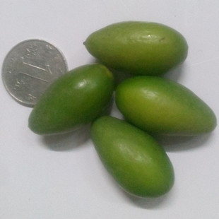 潮汕青橄榄德士新鲜橄榄 酥脆新鲜生青果甘甜无渣榄香浓郁生橄榄