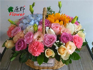 【鲜花淄博张店价格】最新鲜花淄博张店价格\/