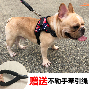 【泰迪狗鏈子小型犬圖片】泰迪狗鏈子小型犬圖片大全_好便宜網