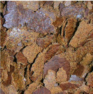 【菜籽饼钓鱼鱼图片】菜籽饼钓鱼鱼图片大全