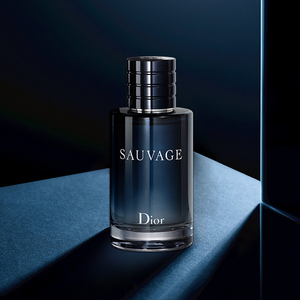 dior/ span class=h>迪奧 /span>曠野sauvage span class=h>男士 