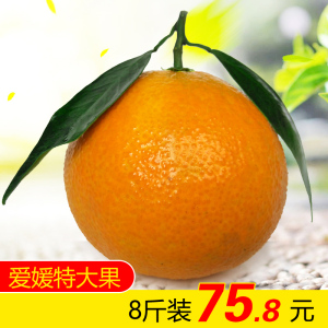 水晶之恋果冻橘子图片