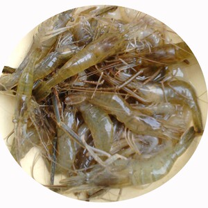 小河 span class=h>虾 /span> 500g 新鲜淡水青 span class=h>虾 