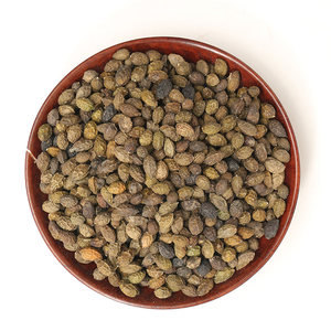 鸦胆子鸭蛋子图片