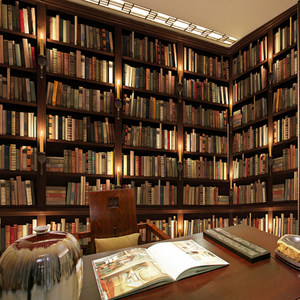 欧式复古怀旧书柜墙纸客厅3d背景墙壁画 书房办公室仿真书架壁纸