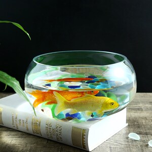 水族箱鱼缸养金鱼盆别墅荷花盆精细打磨睡莲碗莲花盆透明玻璃